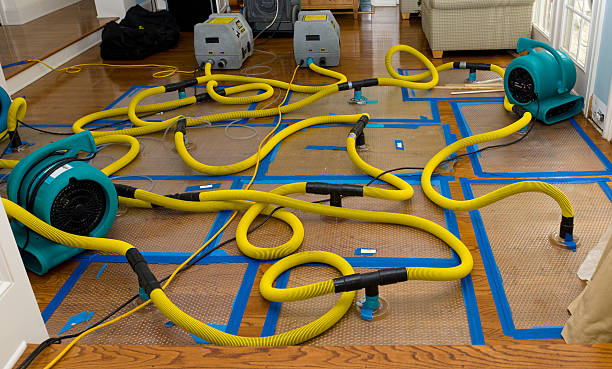 Professional Crawl Space Water Removal technician working in Gaston, OR